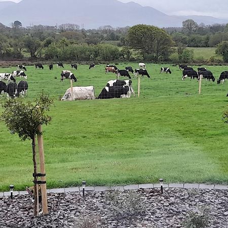 Inch View Lodge Milltown (Kerry) Exterior foto