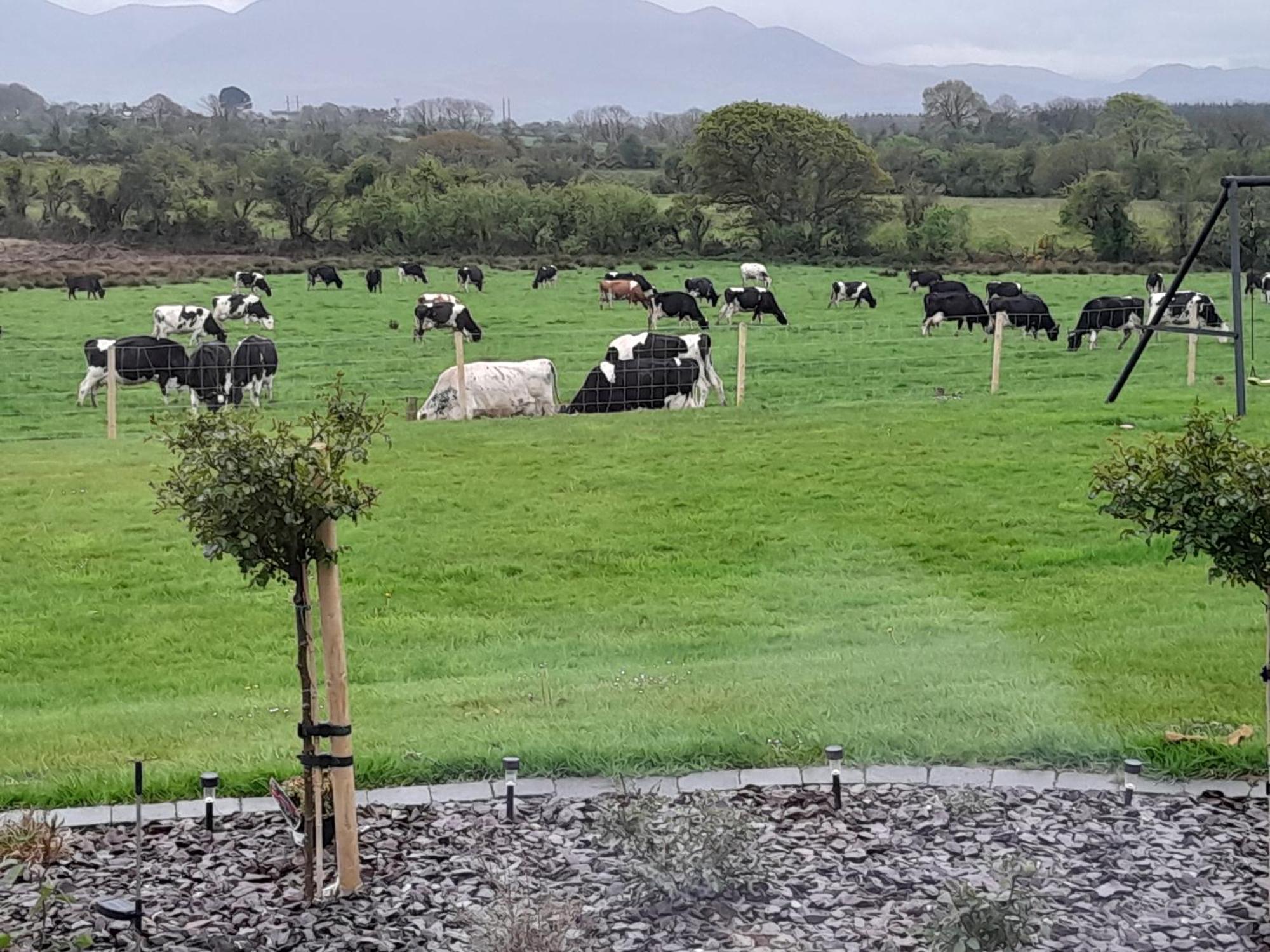 Inch View Lodge Milltown (Kerry) Exterior foto