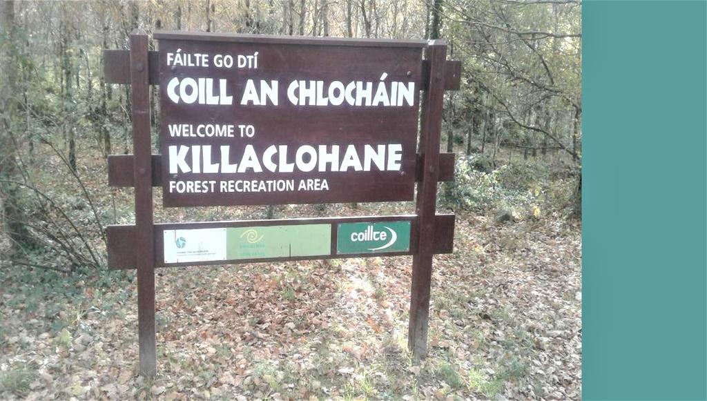 Inch View Lodge Milltown (Kerry) Exterior foto